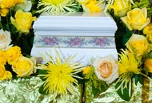 Cremation Options